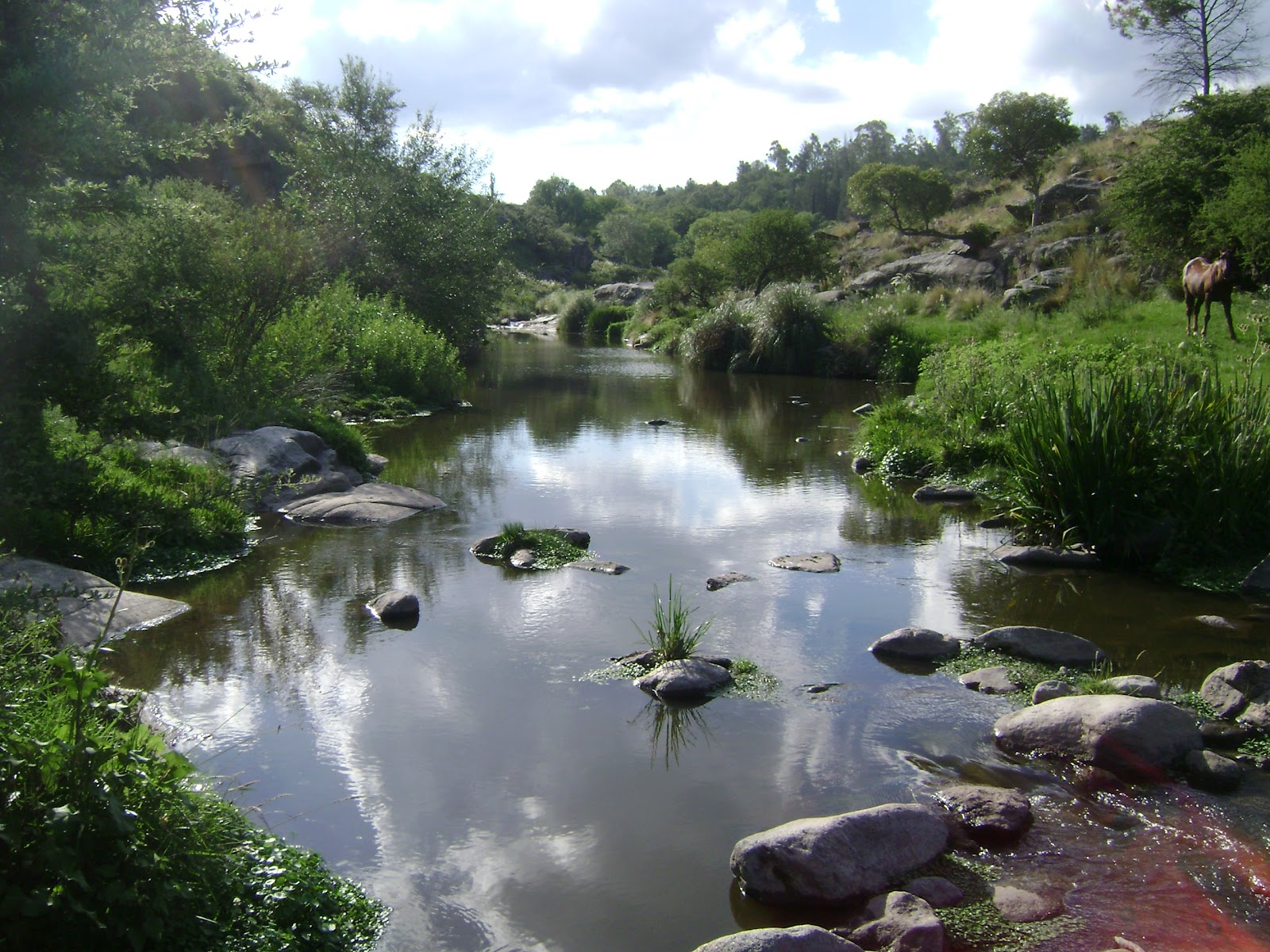 paseos en lancha