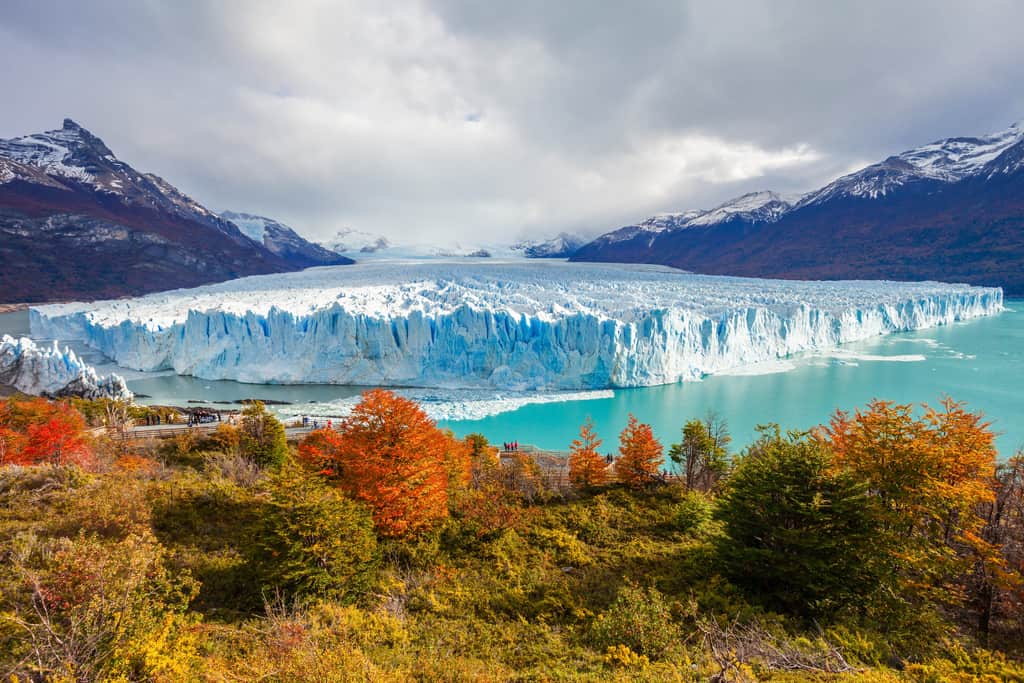 ARGENTINA - EL CALAFATE